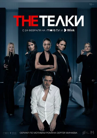 The Телки постер